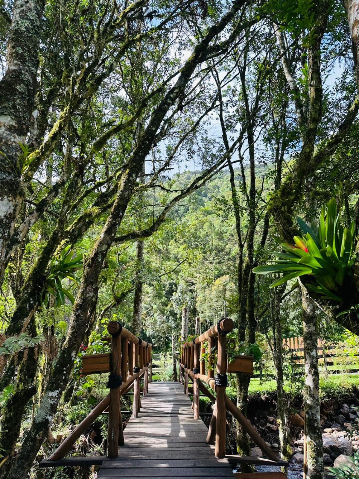 Vale dos Bugres Eco House- Cabana das Flores