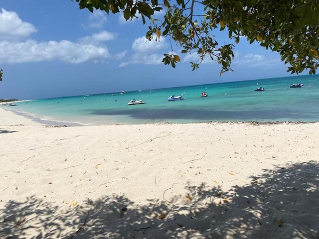 Good vibes, lovely sea and Breeze OASIS at Eagle Beach ARUBA