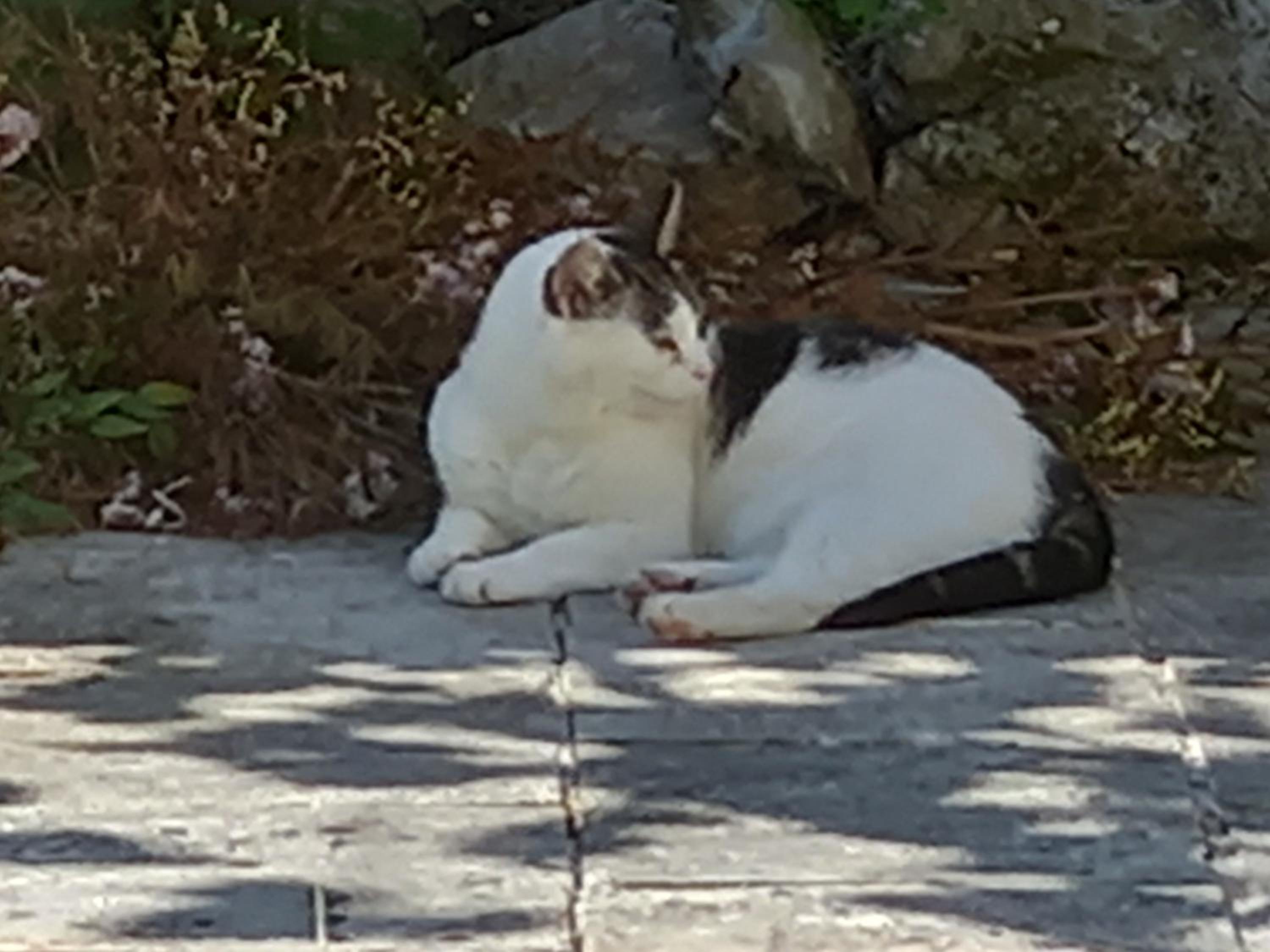 Galway Vacations - Cregg Castle - Property Image 27