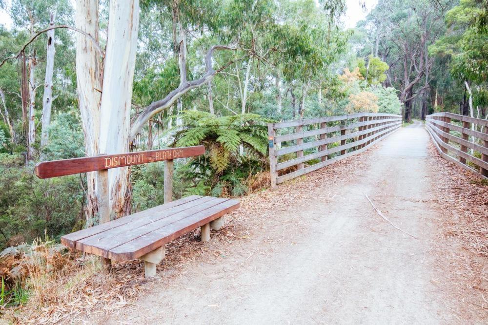 Yarra Valley on the Warburton Trail
