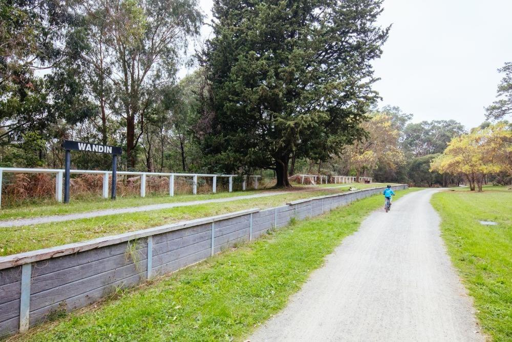 Yarra Valley on the Warburton Trail