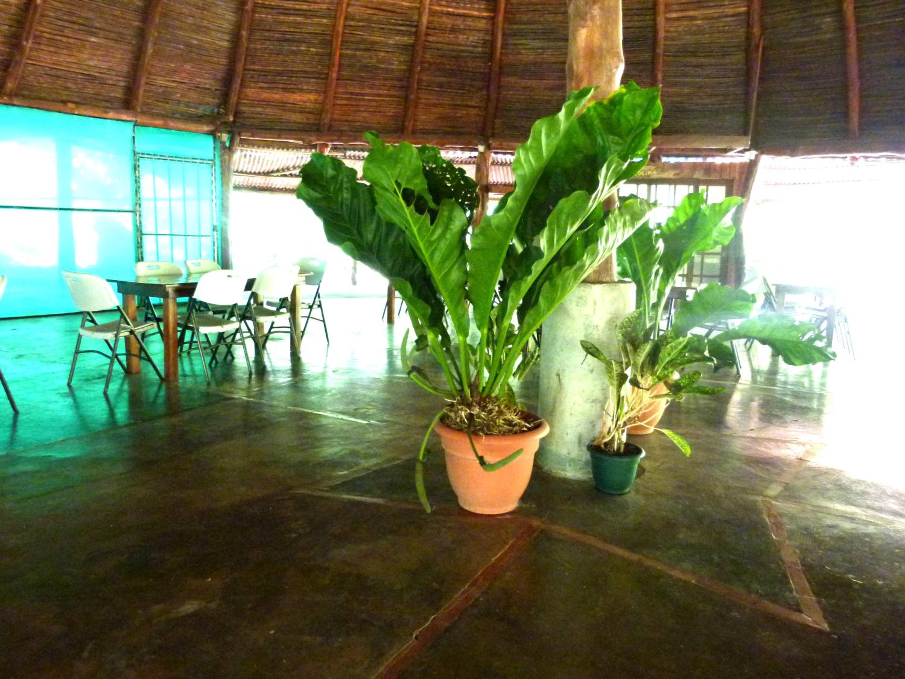 Jardines del Golfo