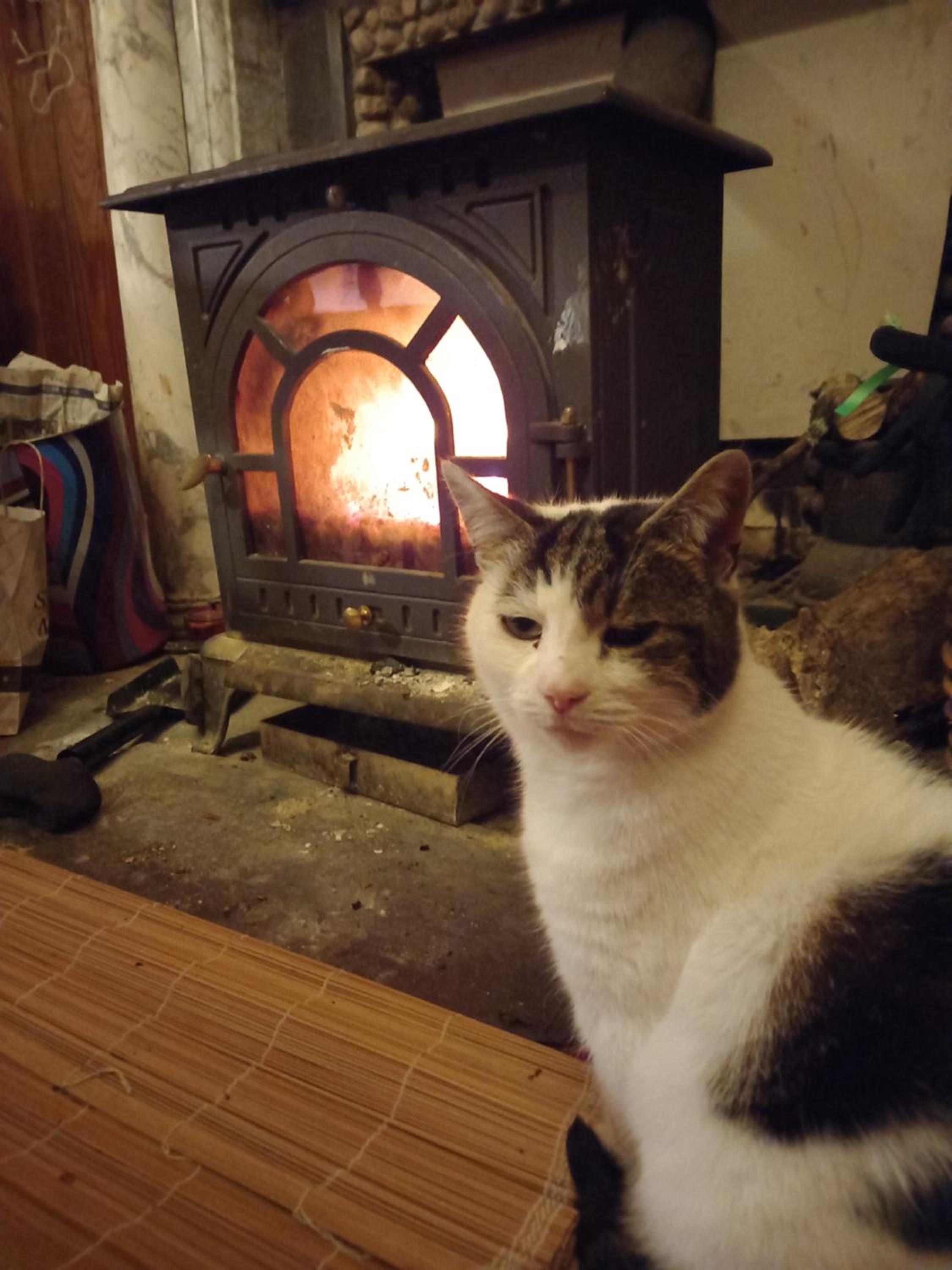 Galway Vacations - Cregg Castle - Property Image 26