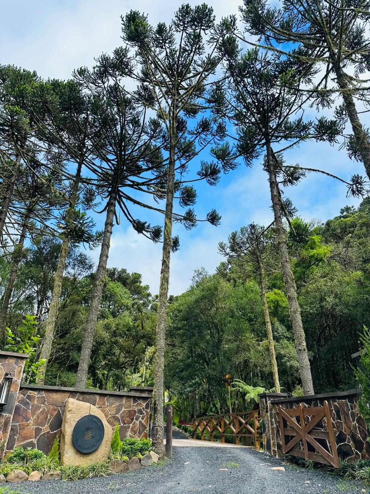 Vale dos Bugres Eco House- Cabana das Flores