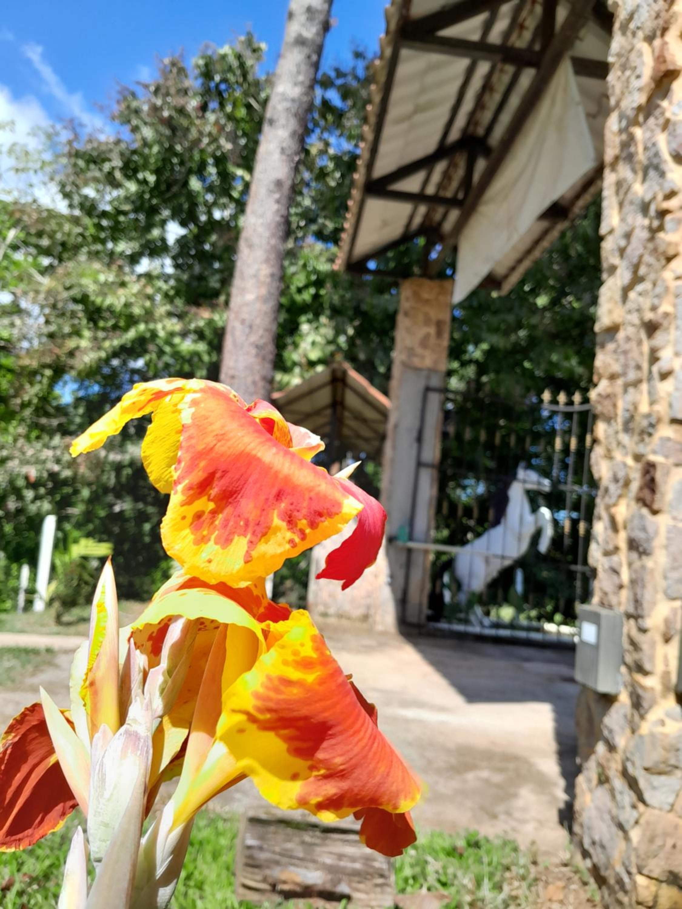 Complejo Turistico Fuga Ecolodge