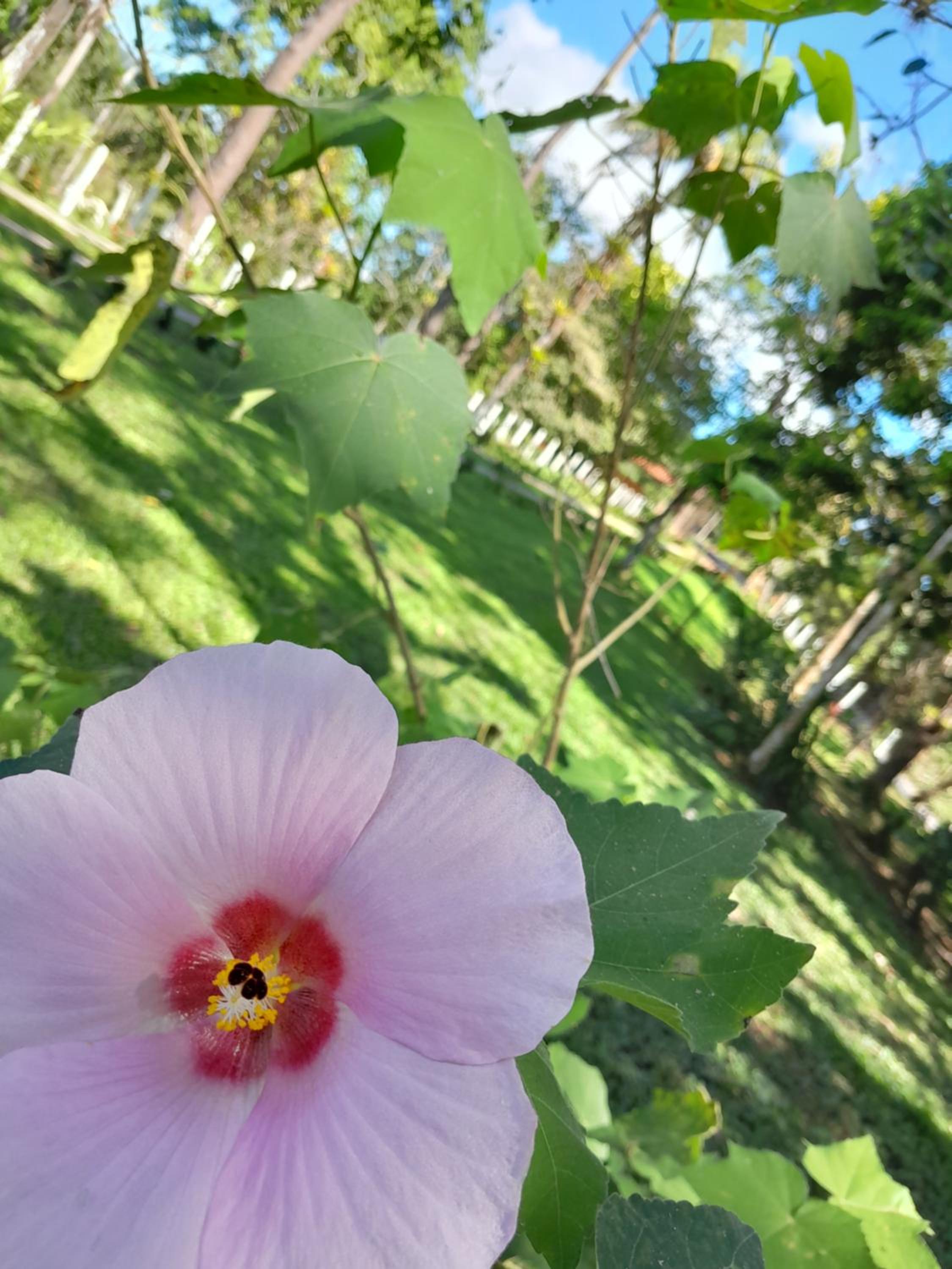 Complejo Turistico Fuga Ecolodge