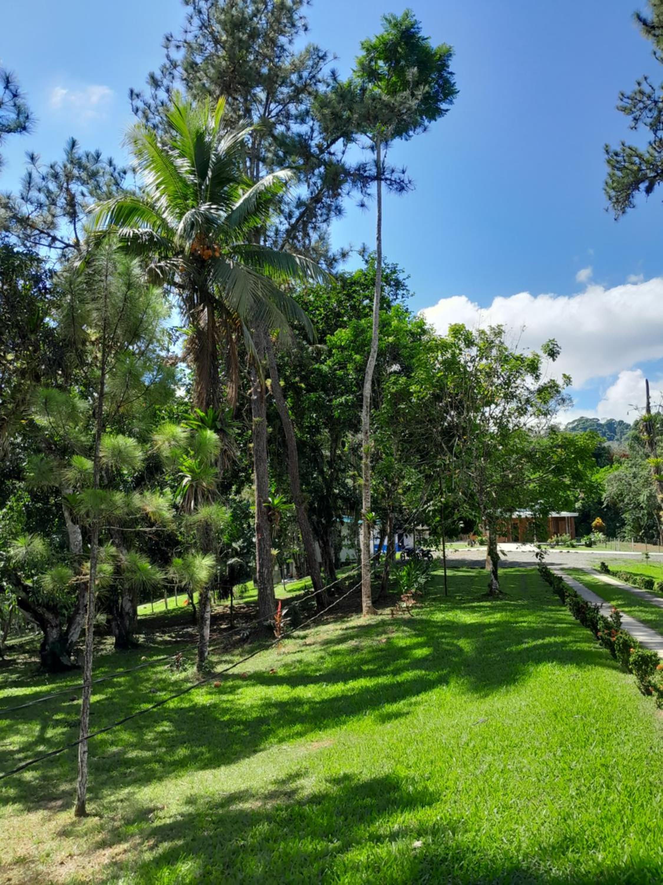 Complejo Turistico Fuga Ecolodge
