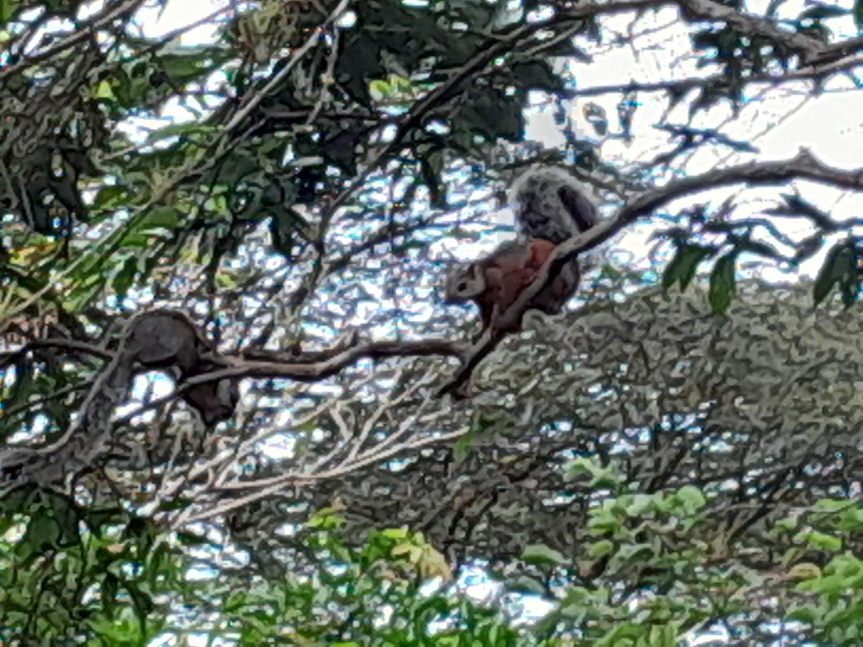 Complejo Turistico Fuga Ecolodge