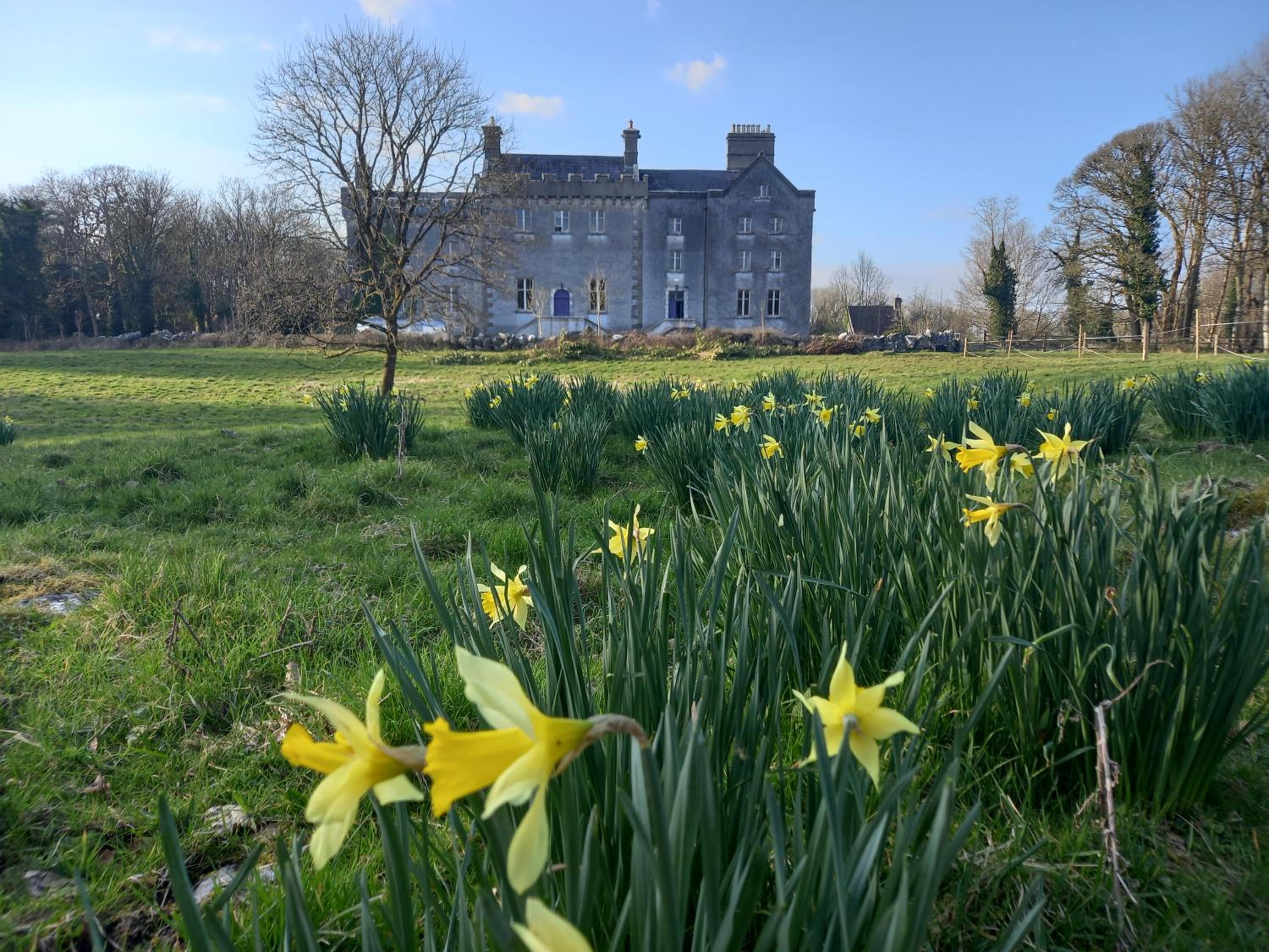 Galway Vacations - Cregg Castle - Property Image 7