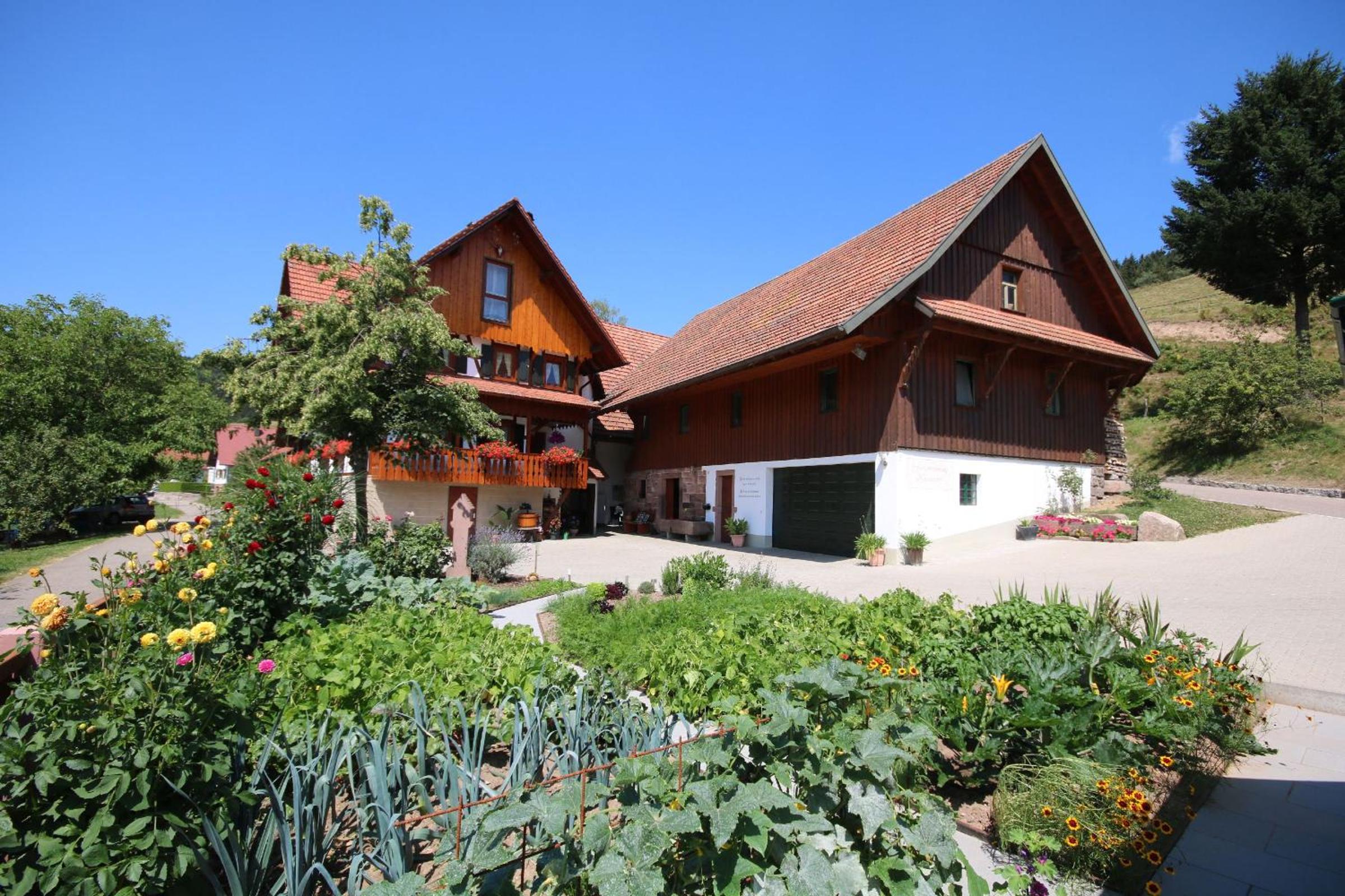 Kasimir Hof