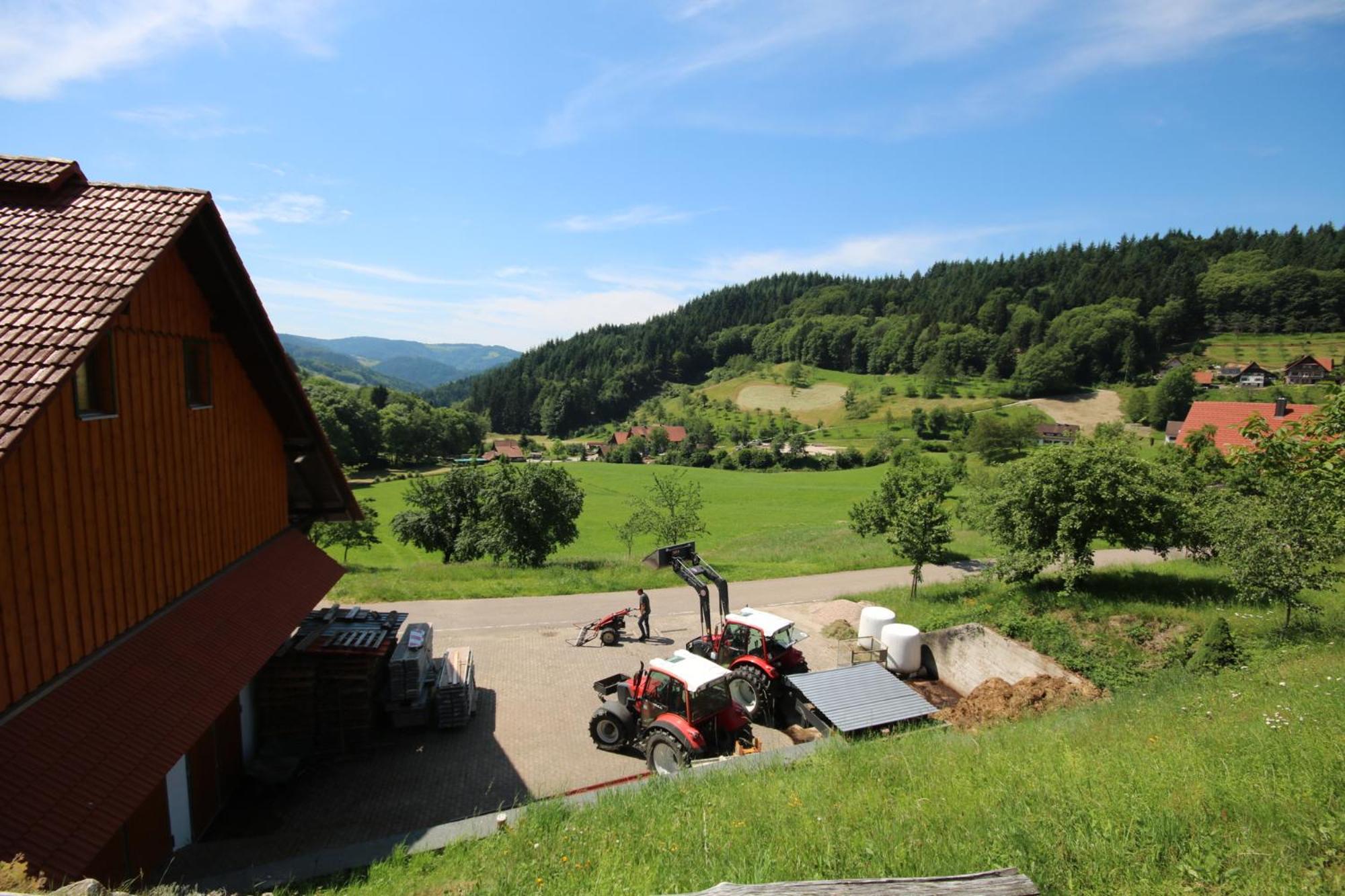 Kasimir Hof