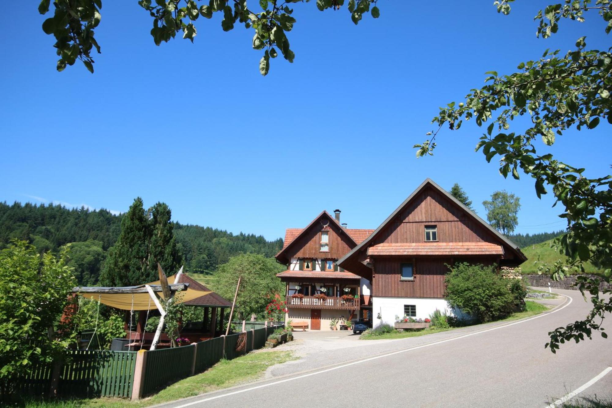 Kasimir Hof