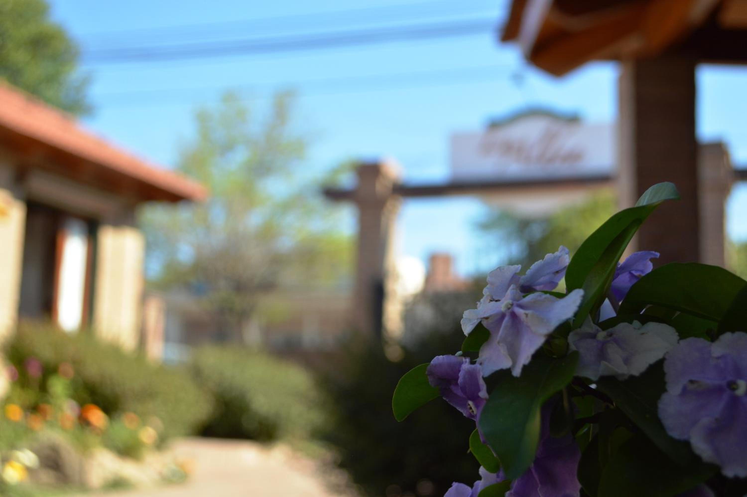 Cabañas La Aldea