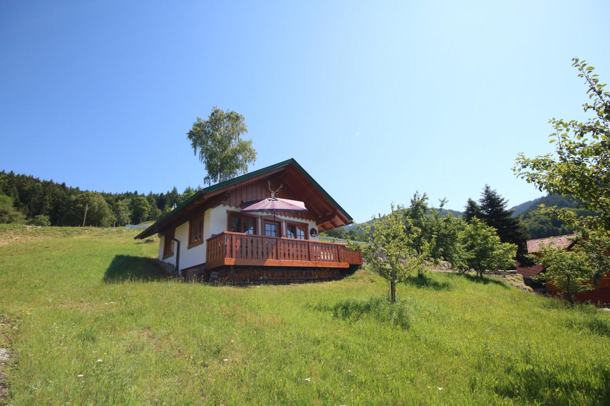 Kasimir Hof