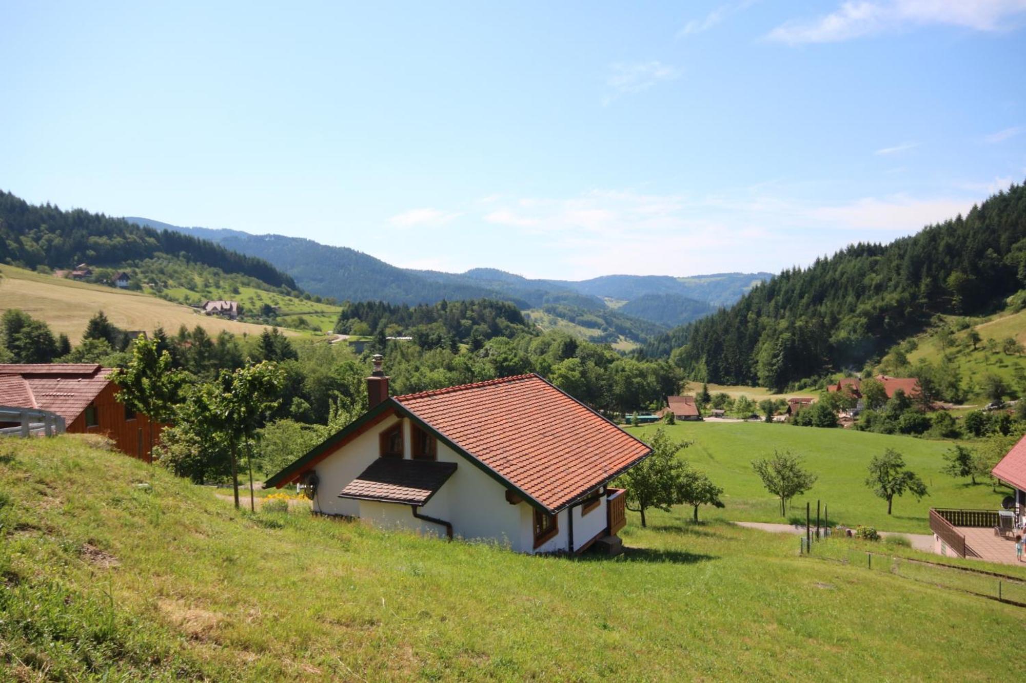 Kasimir Hof