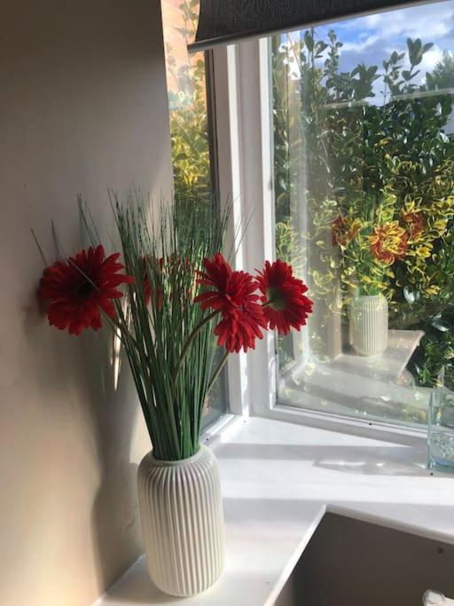 Charming Pheonix Parkside Flat