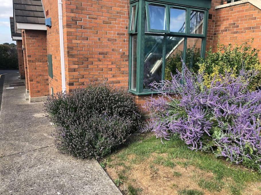 Charming Pheonix Parkside Flat