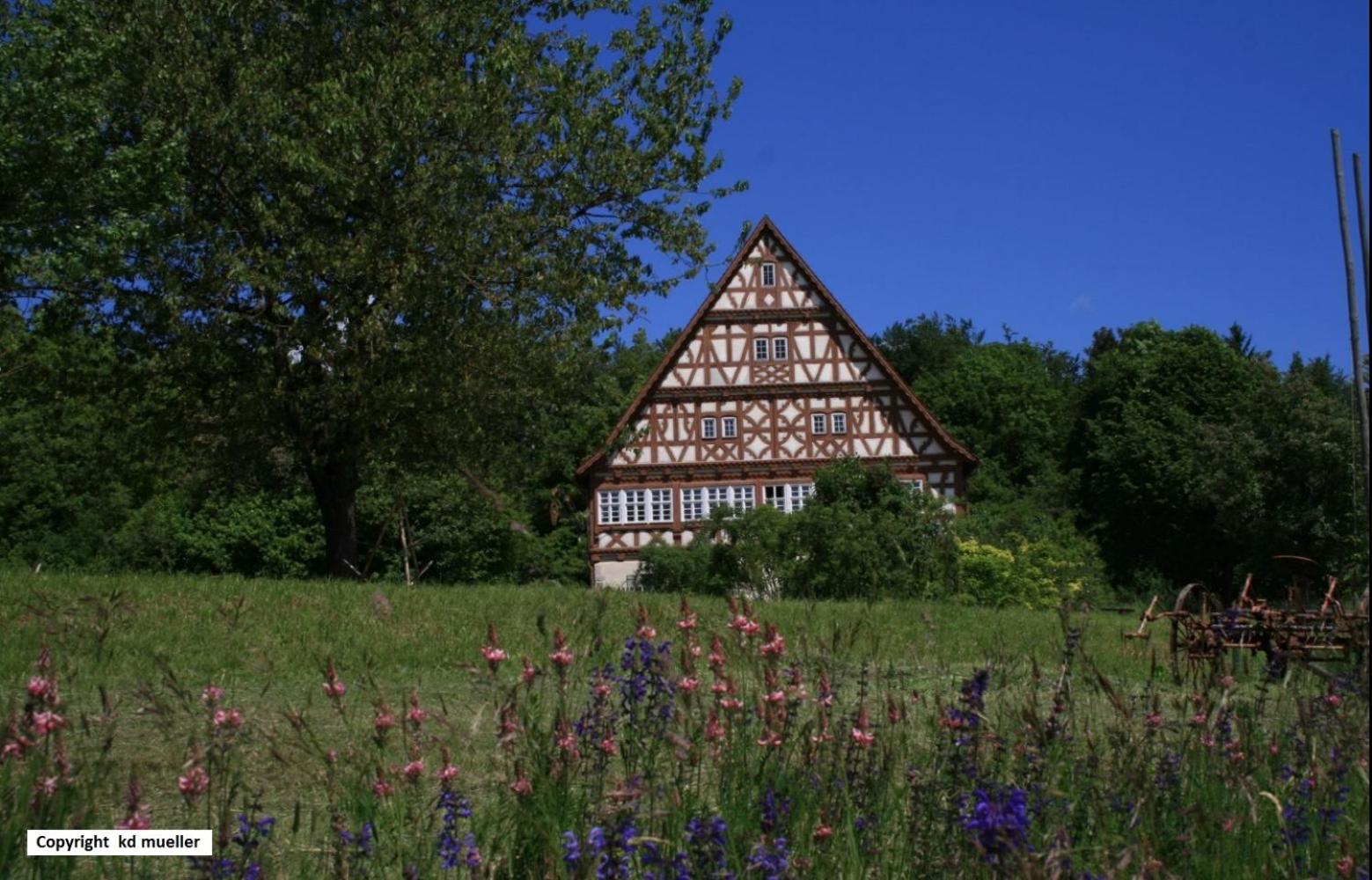 Photo 40