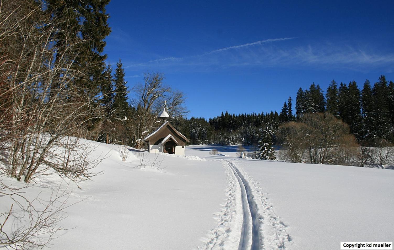 Photo 42