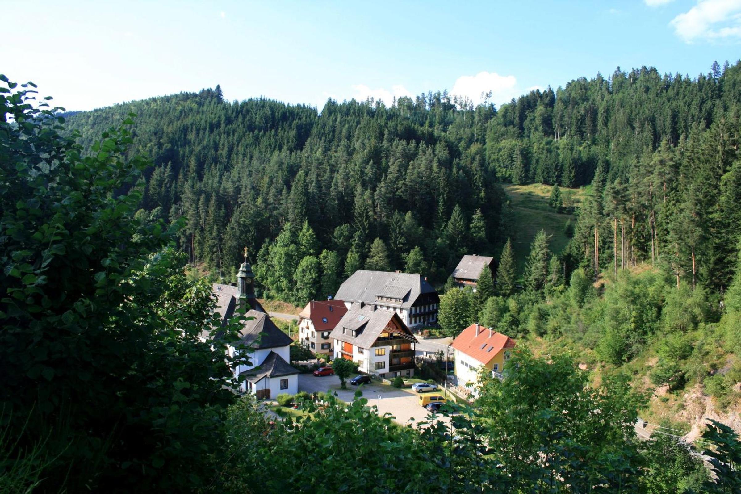 Photo 15