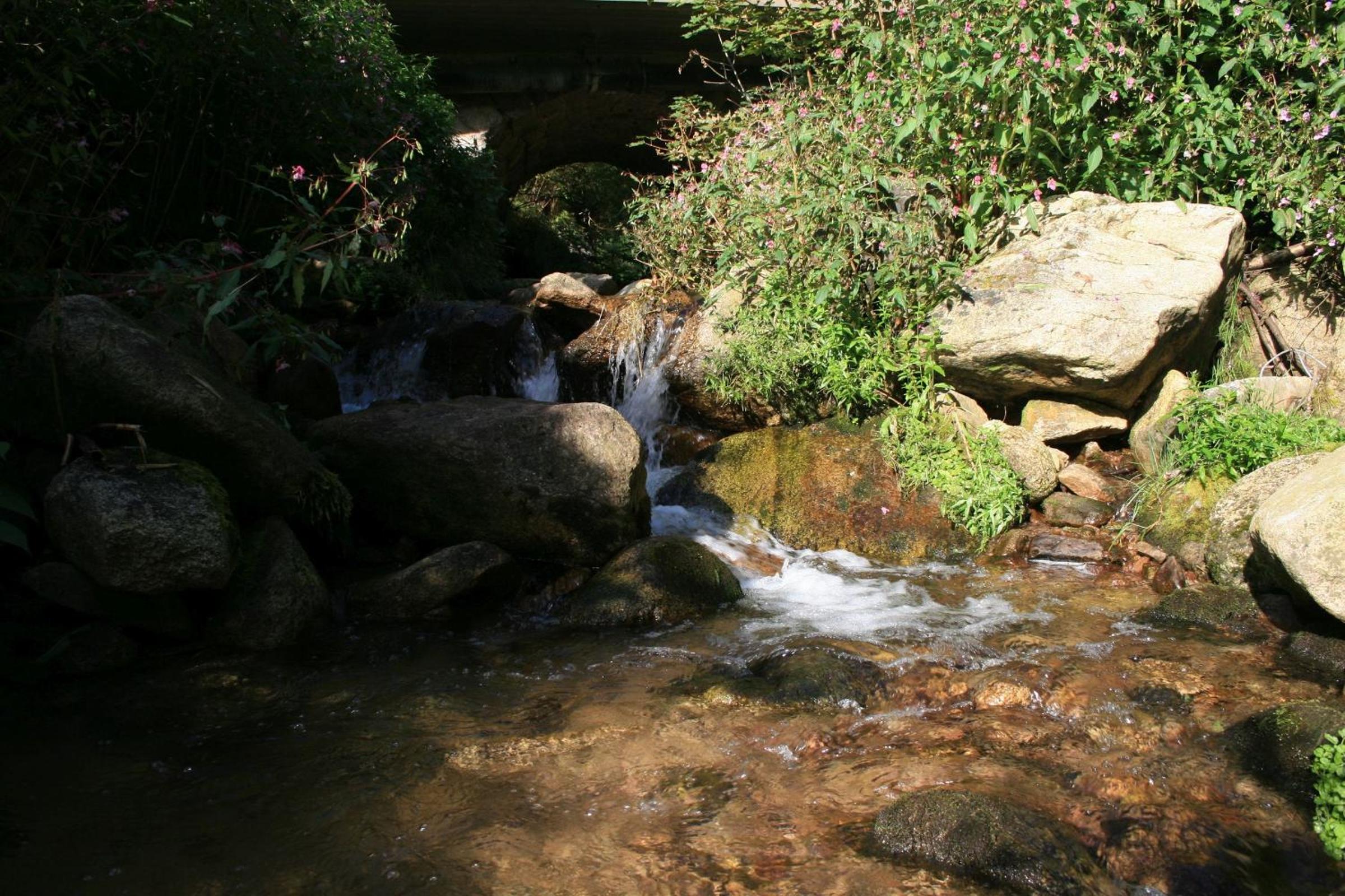 Photo 12