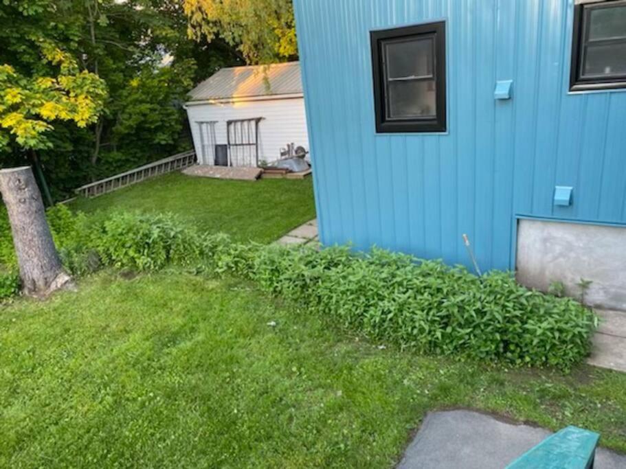 Hidden Getaway, BSMT with Back Yard