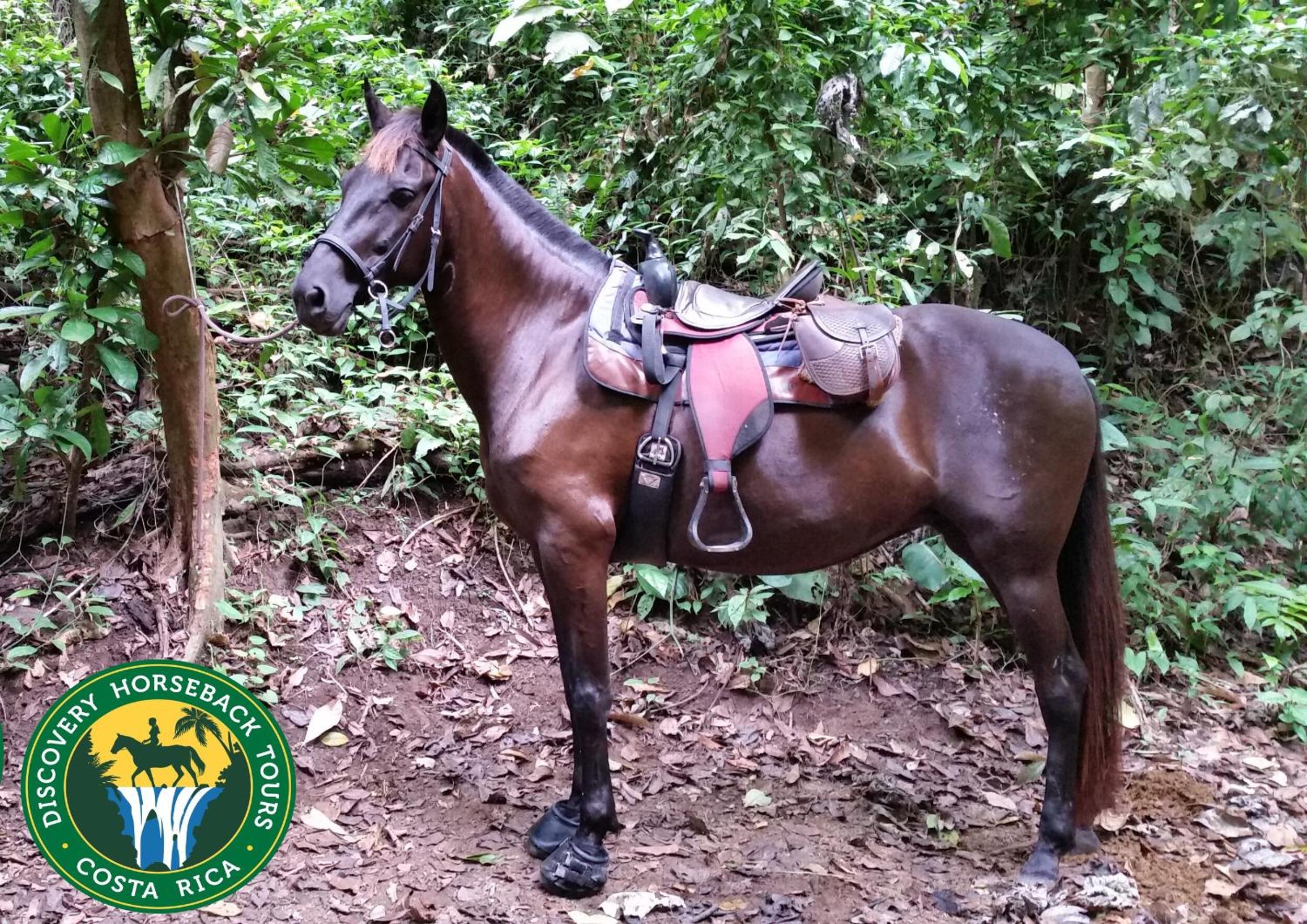 Complejo Turistico Fuga Ecolodge