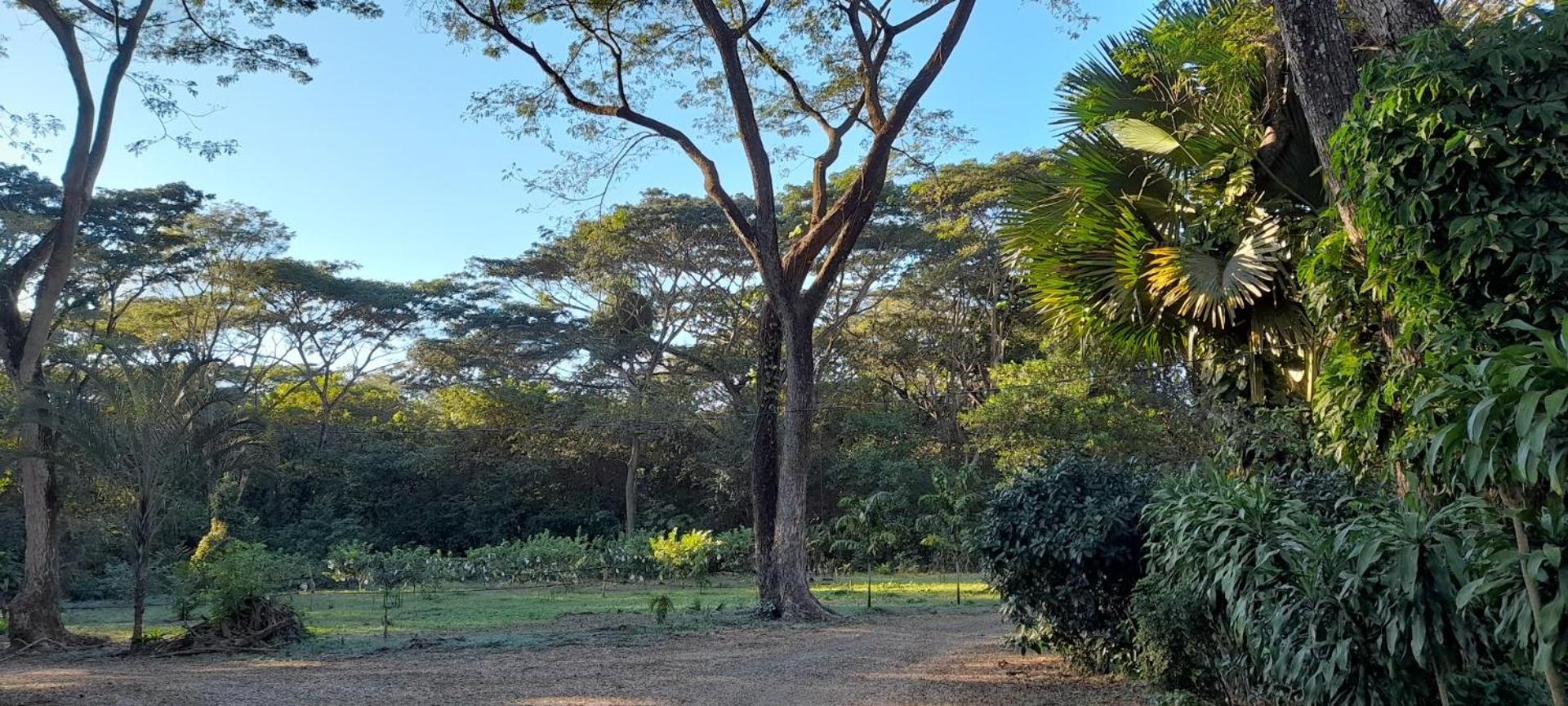 Jardines del Golfo