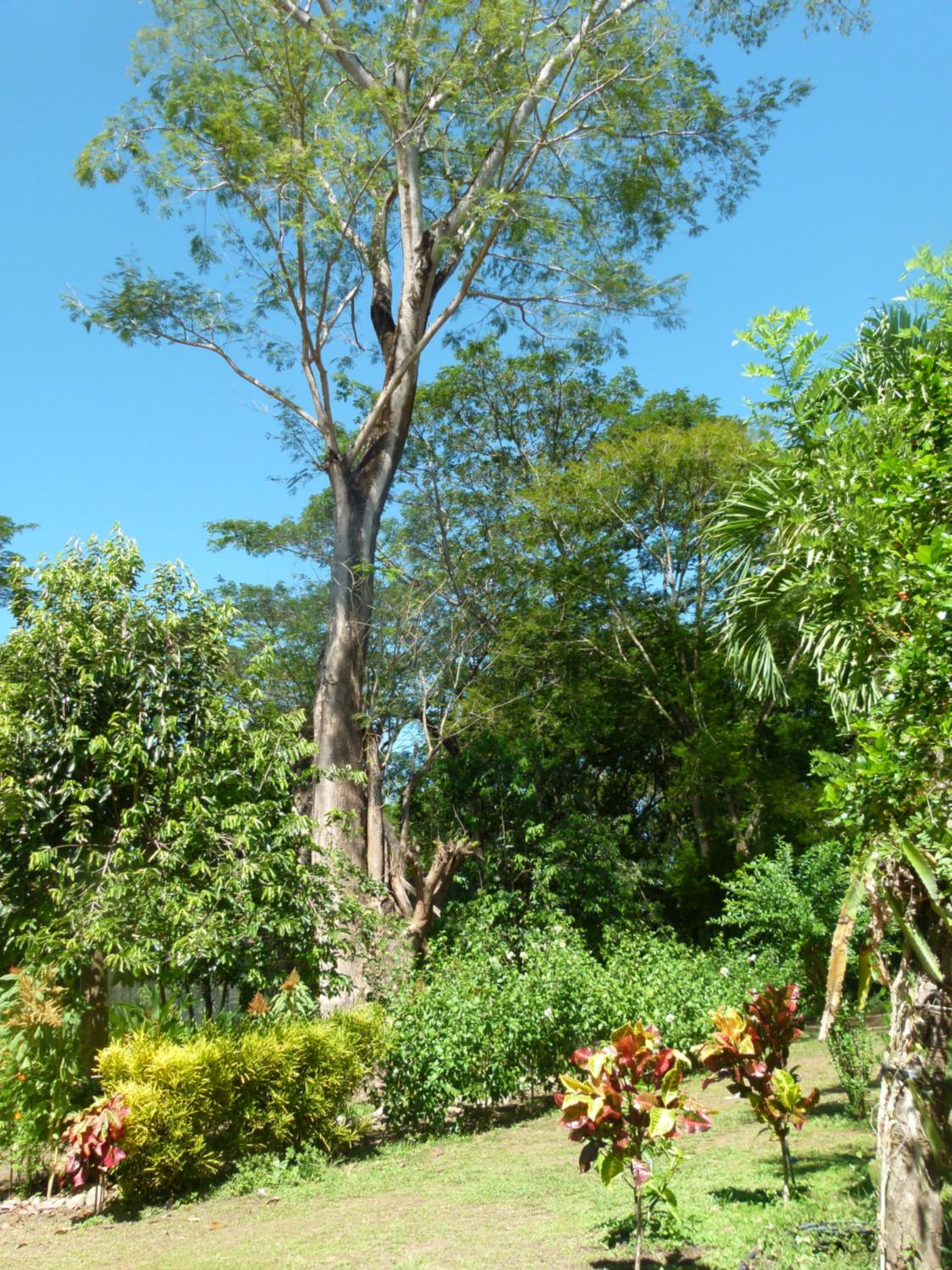 Jardines del Golfo