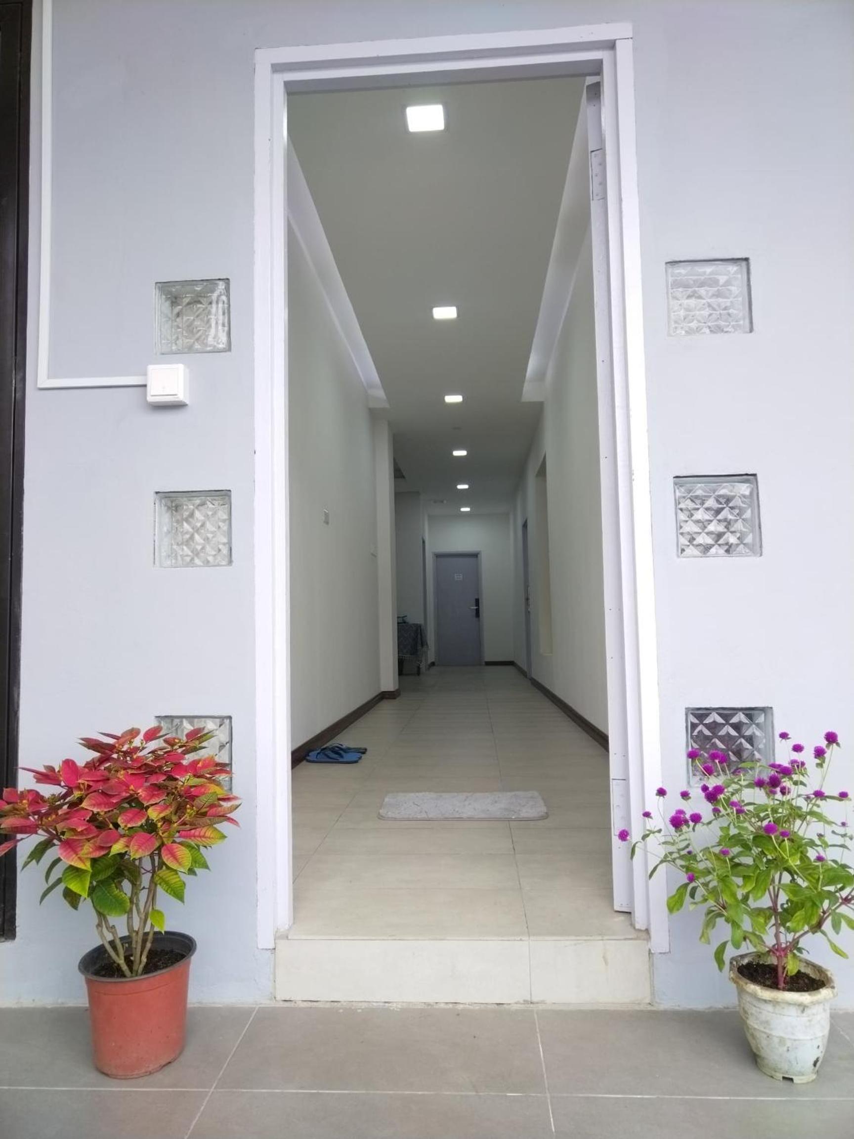 Greenery Studio, Kubot a Sentral