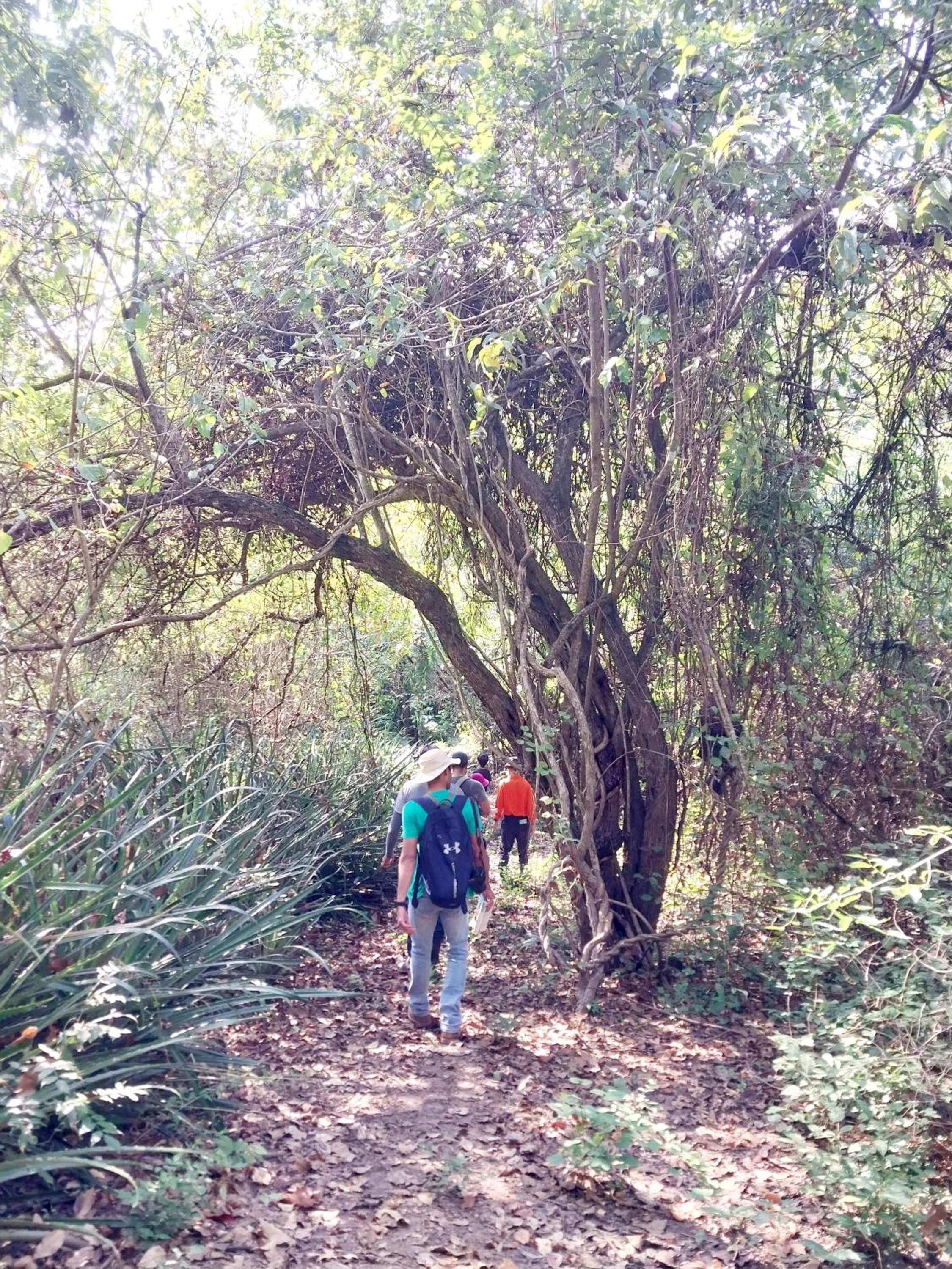 Jardines del Golfo