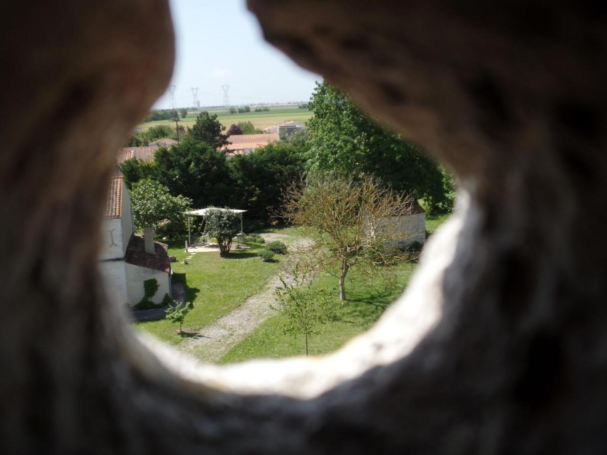 Photo 17