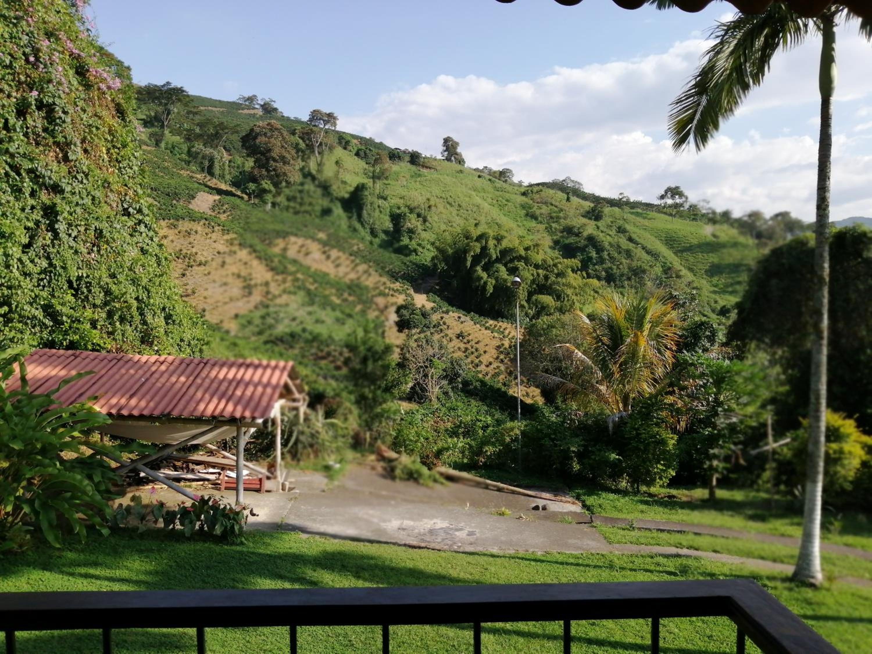 Finca villa carolina, eje cafetero