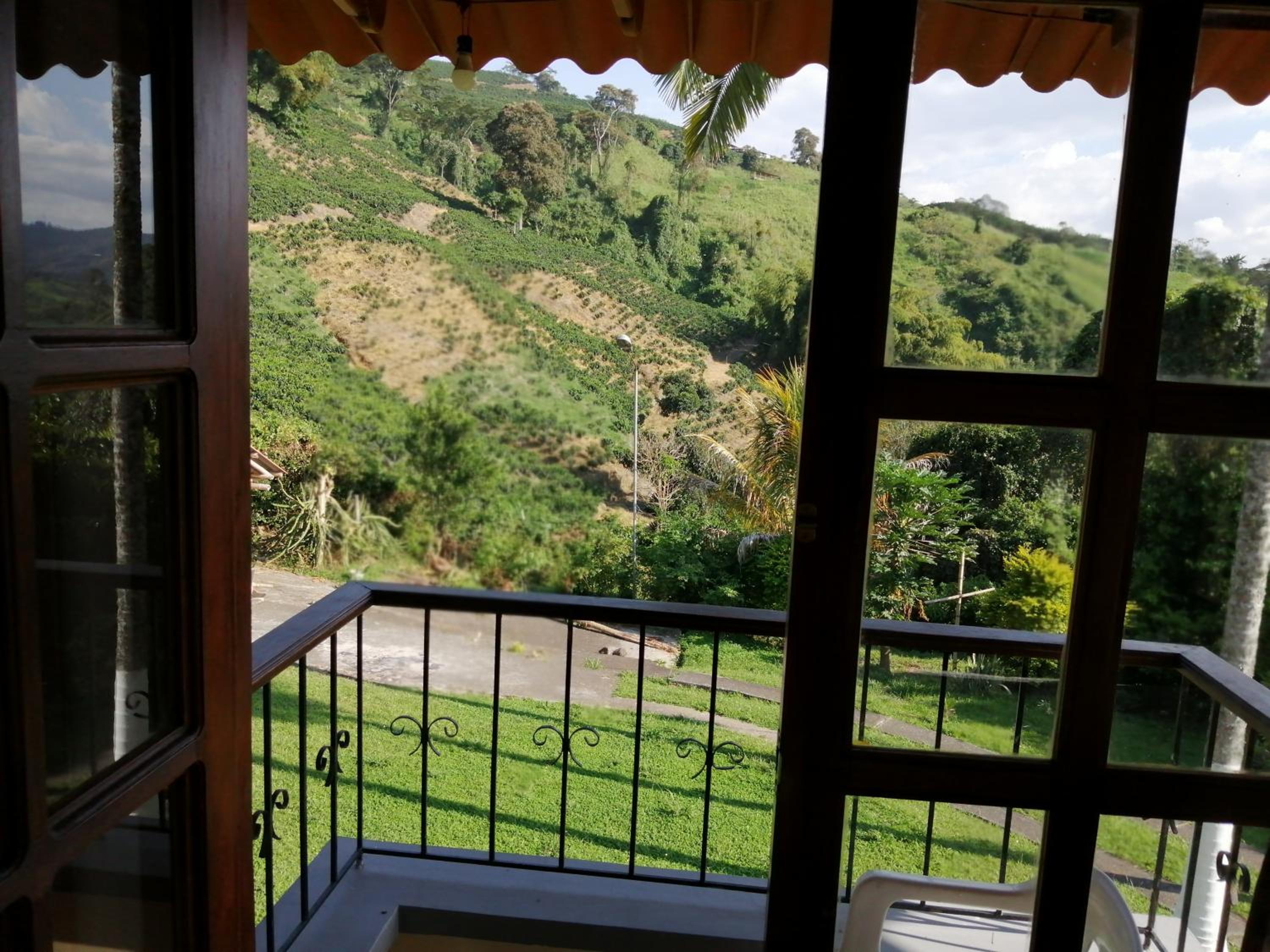 Finca villa carolina, eje cafetero