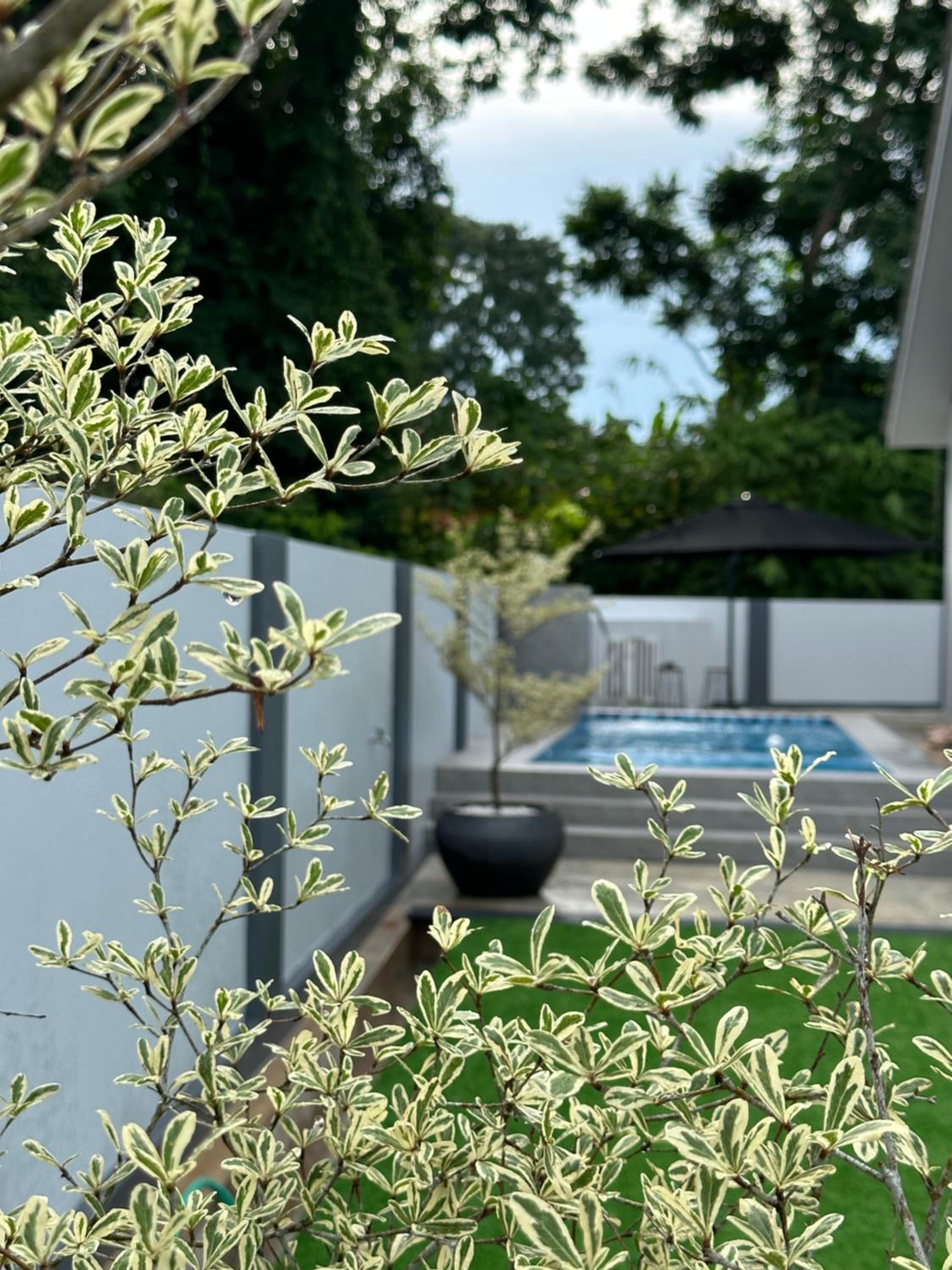 elyssa_homes photo 1