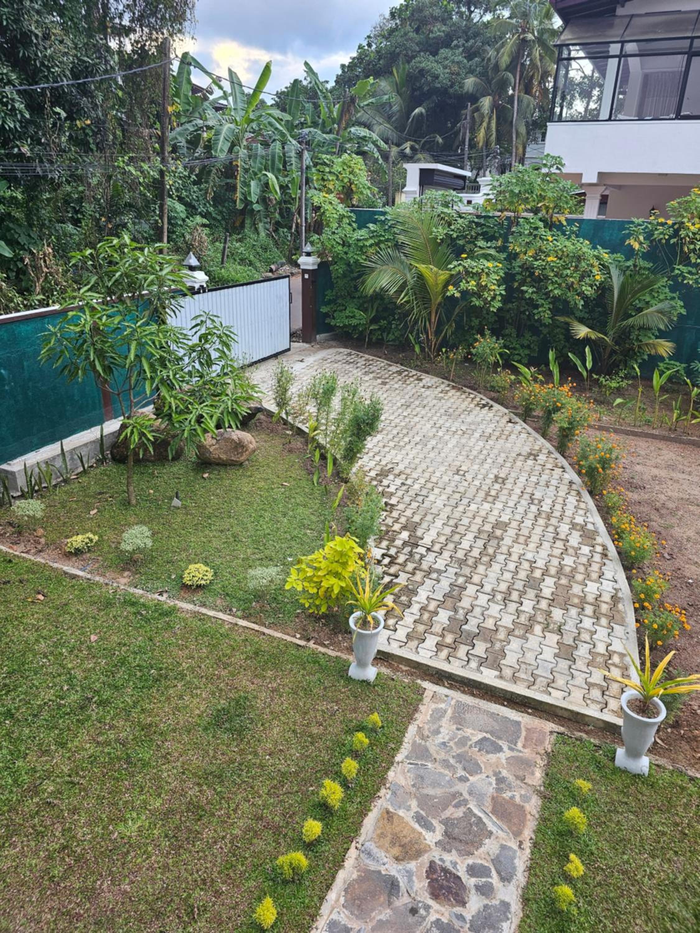 Syndeo Garden