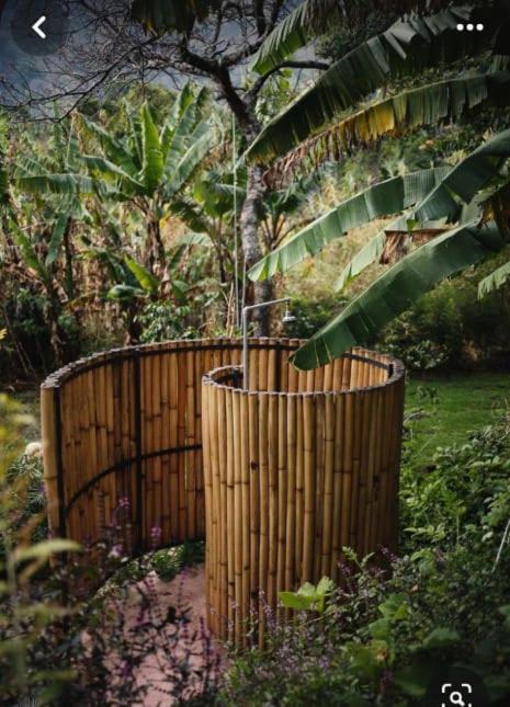Moksha glamping