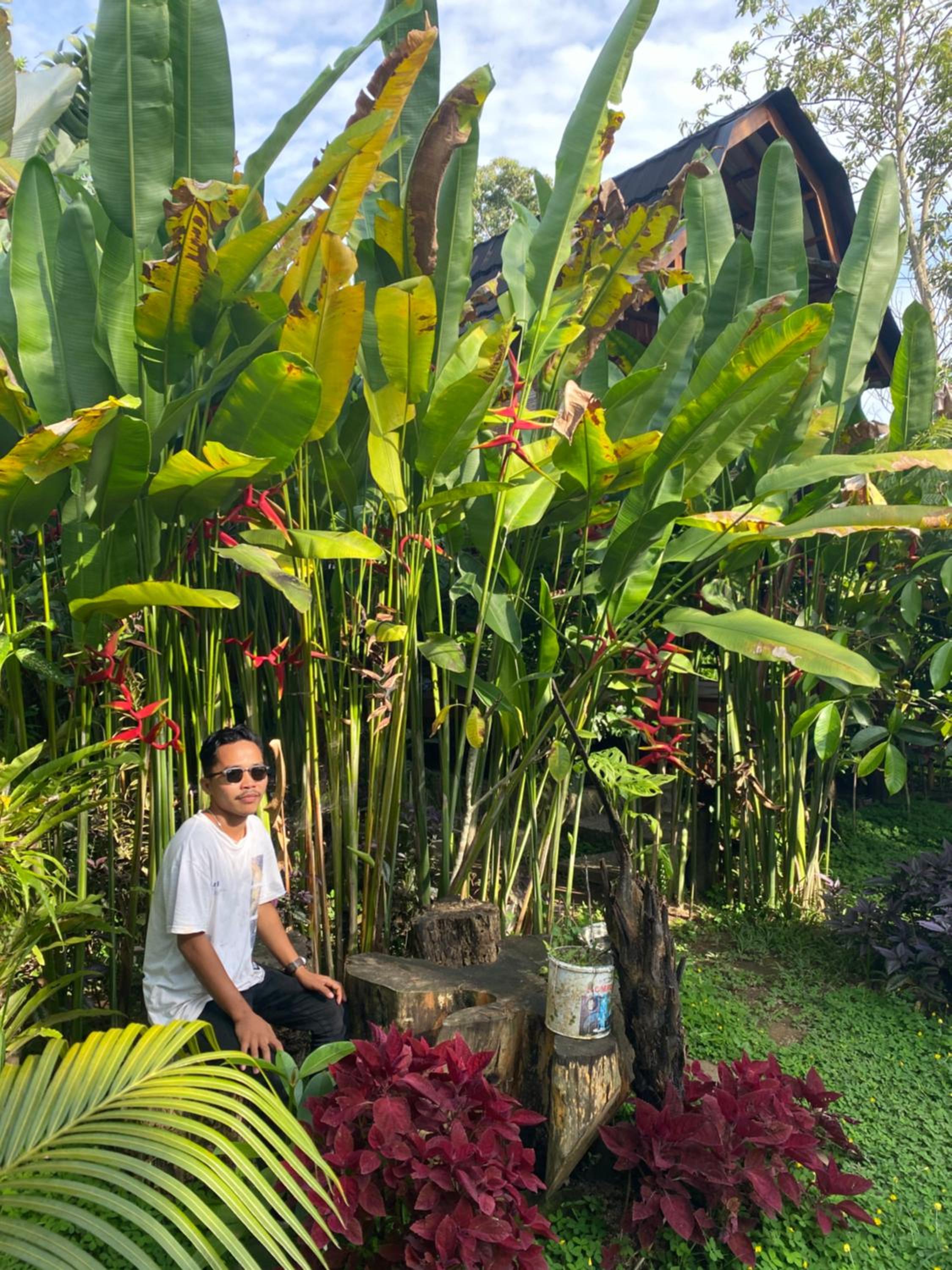 Moksha glamping