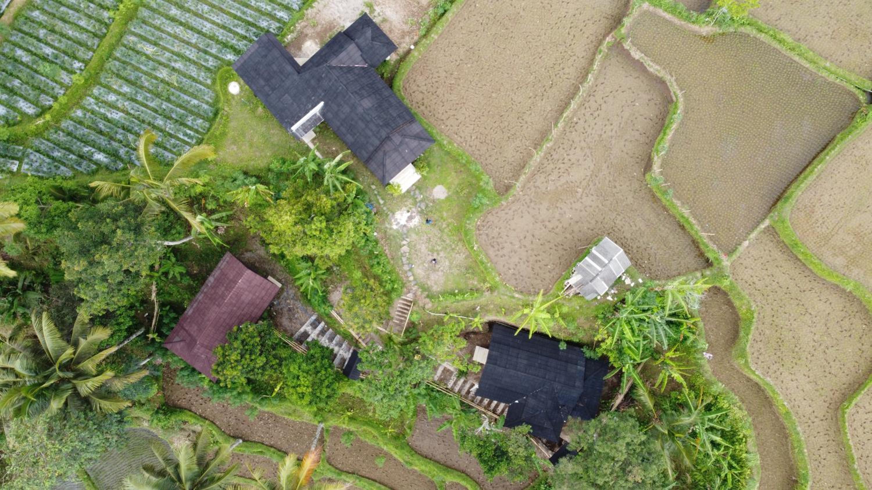 Nea Cottage Lombok