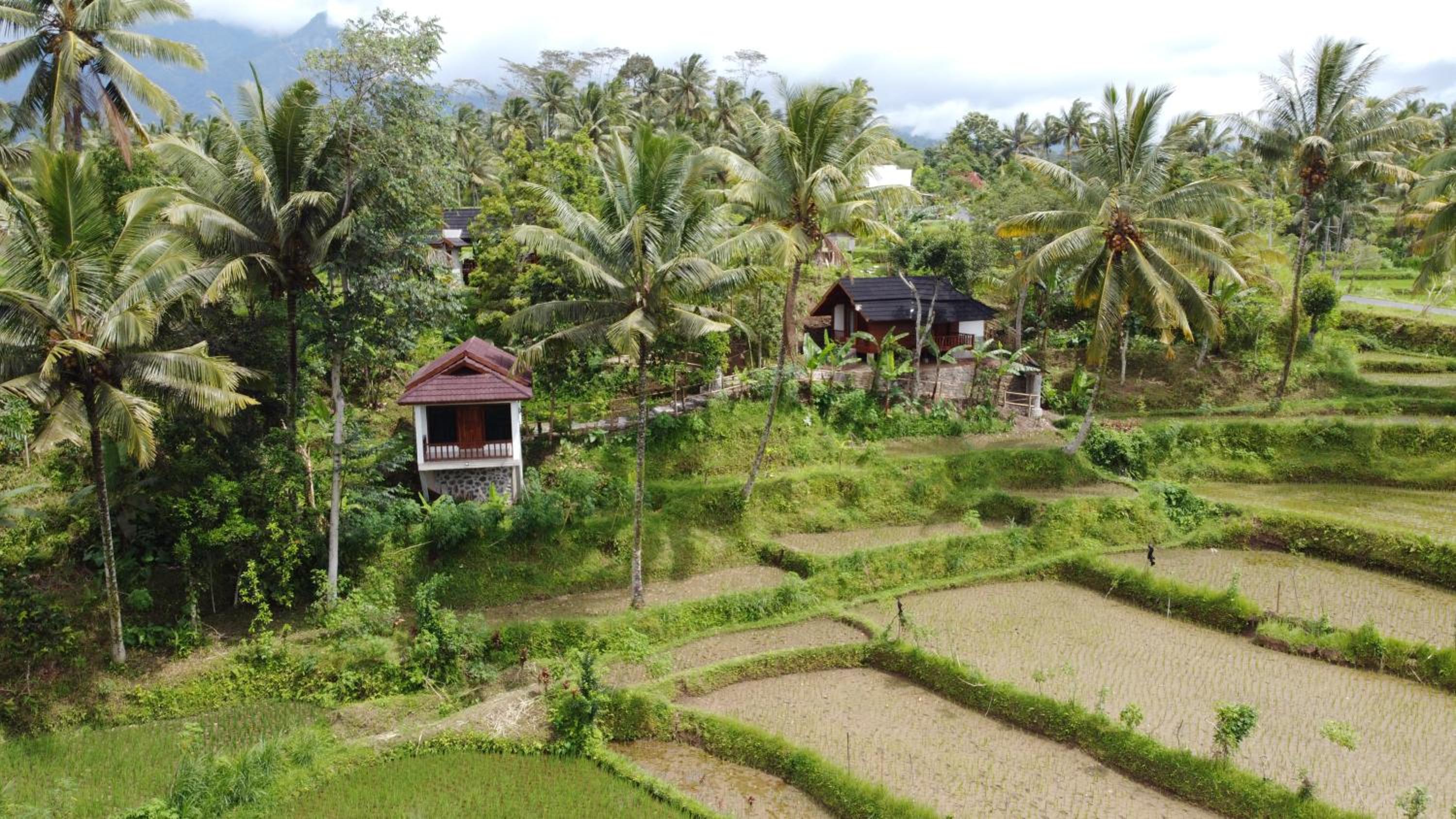 Nea Cottage Lombok