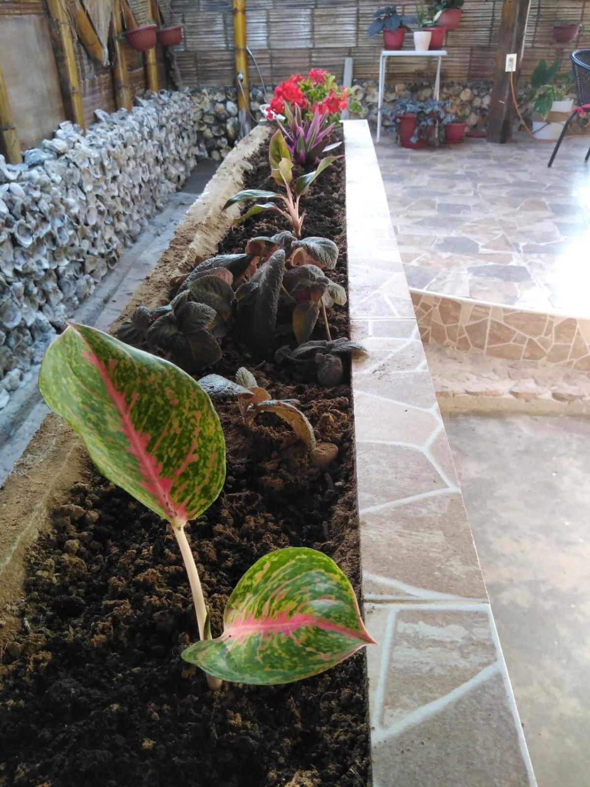 Photo 13