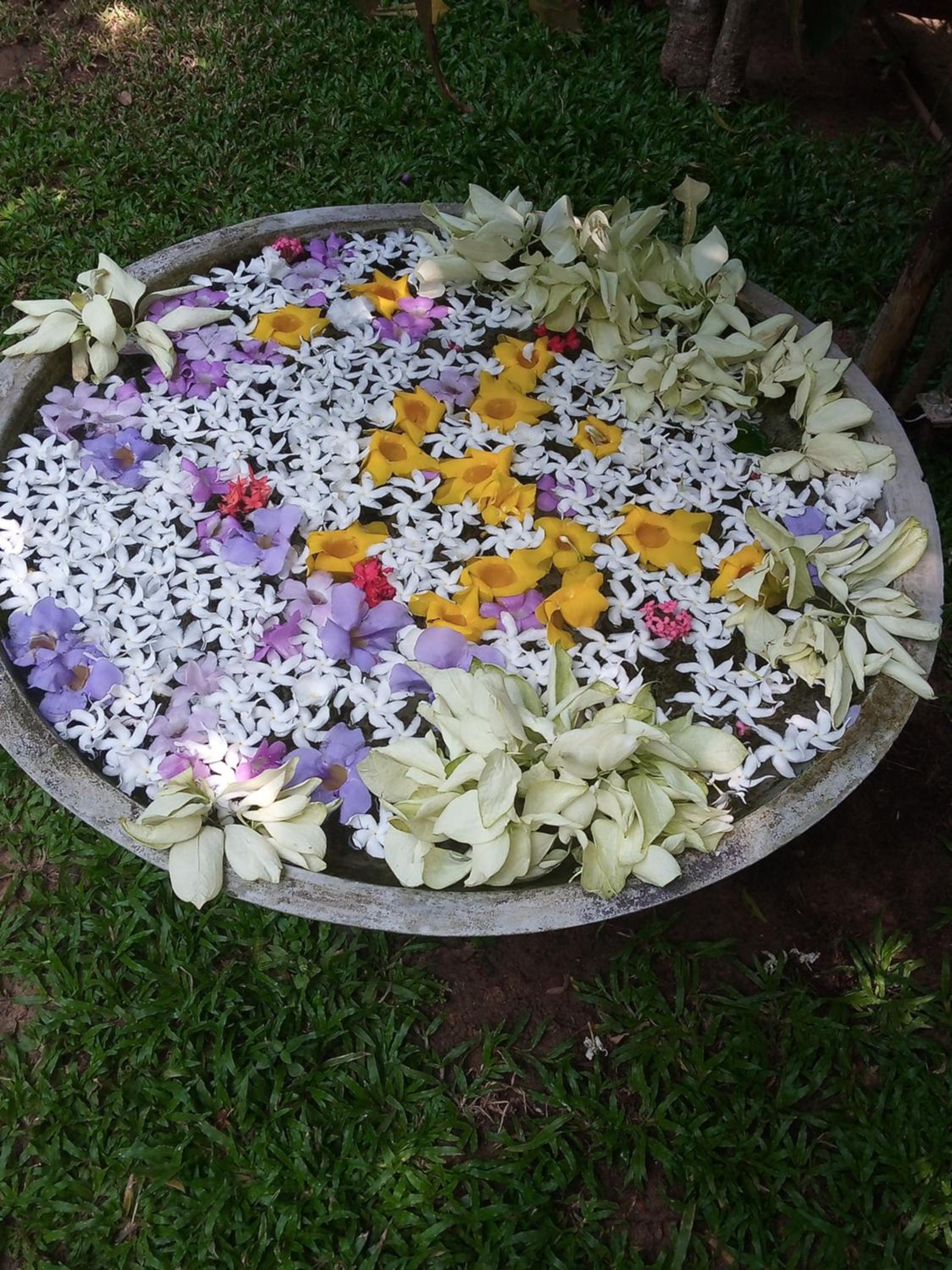 Photo 29
