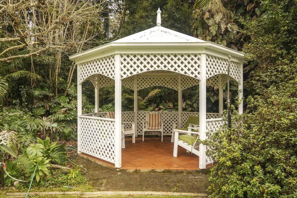 The Azalea - Tamborine Mountain