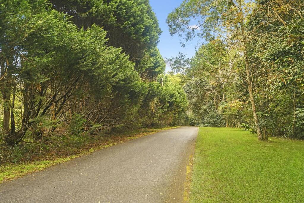 The Azalea - Tamborine Mountain