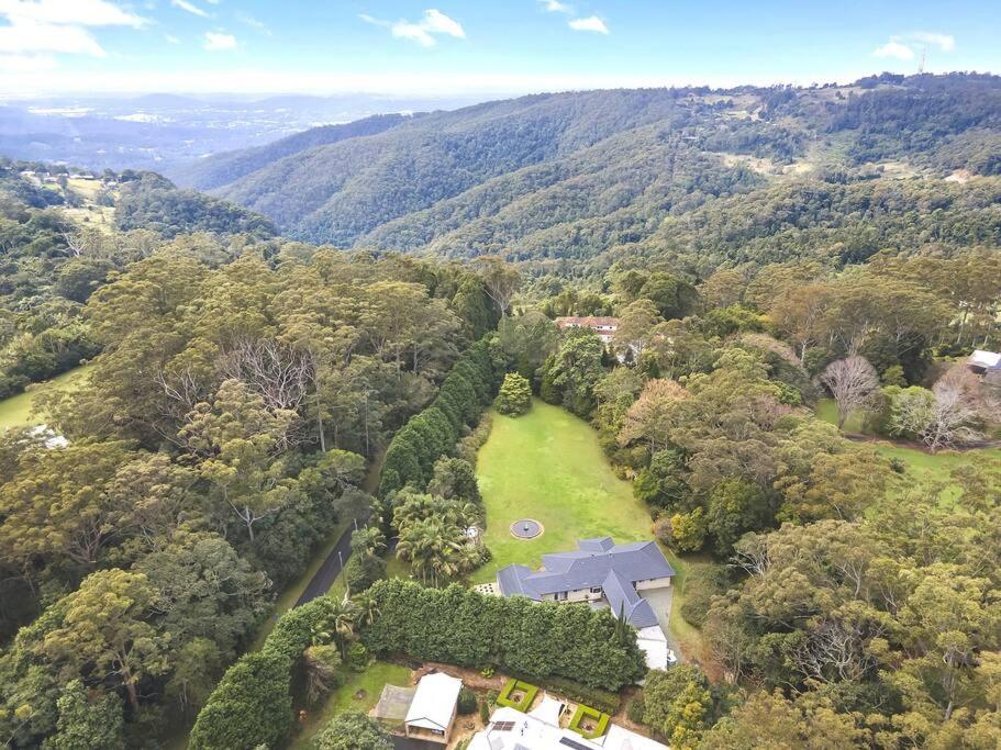 The Azalea - Tamborine Mountain