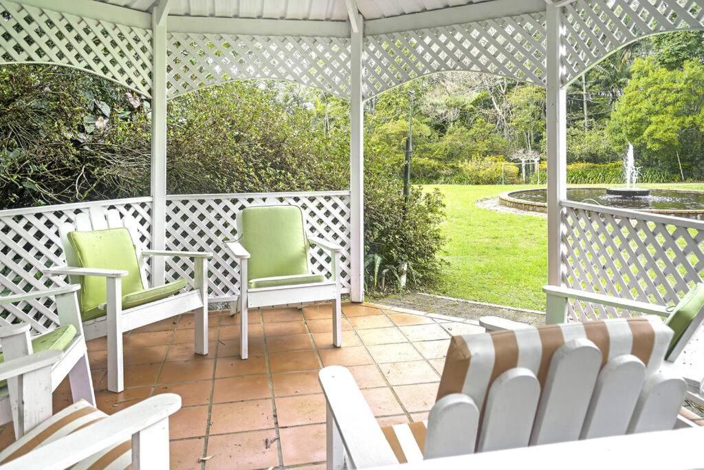 The Azalea - Tamborine Mountain