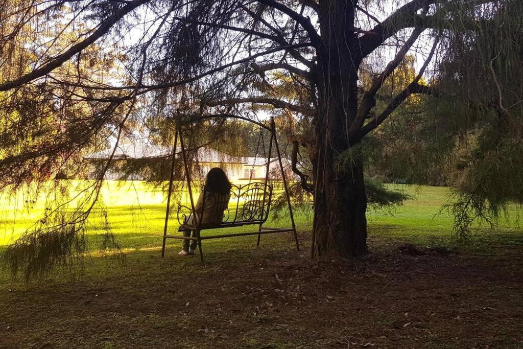 The Azalea - Tamborine Mountain