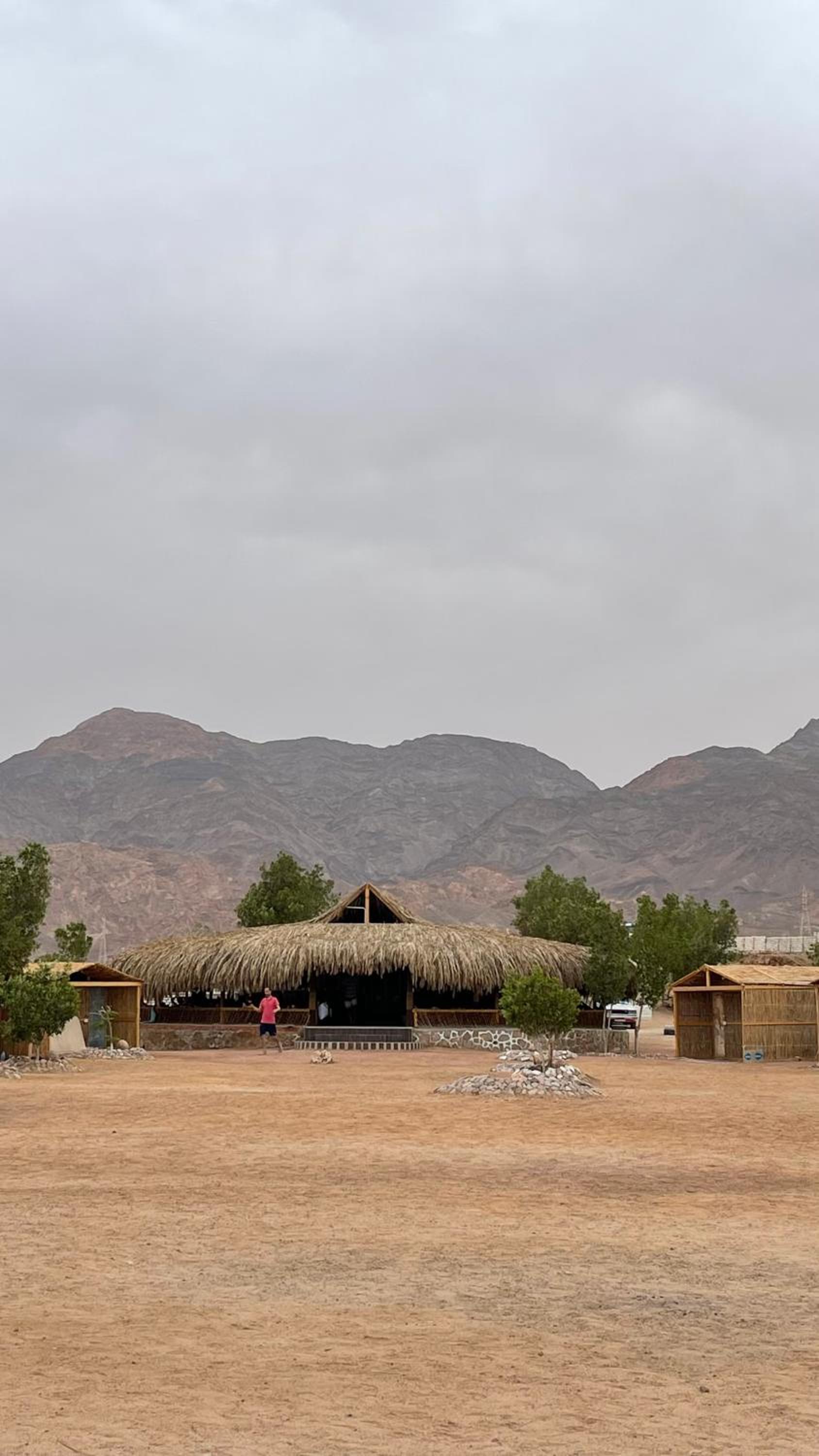 Alwaha Camp