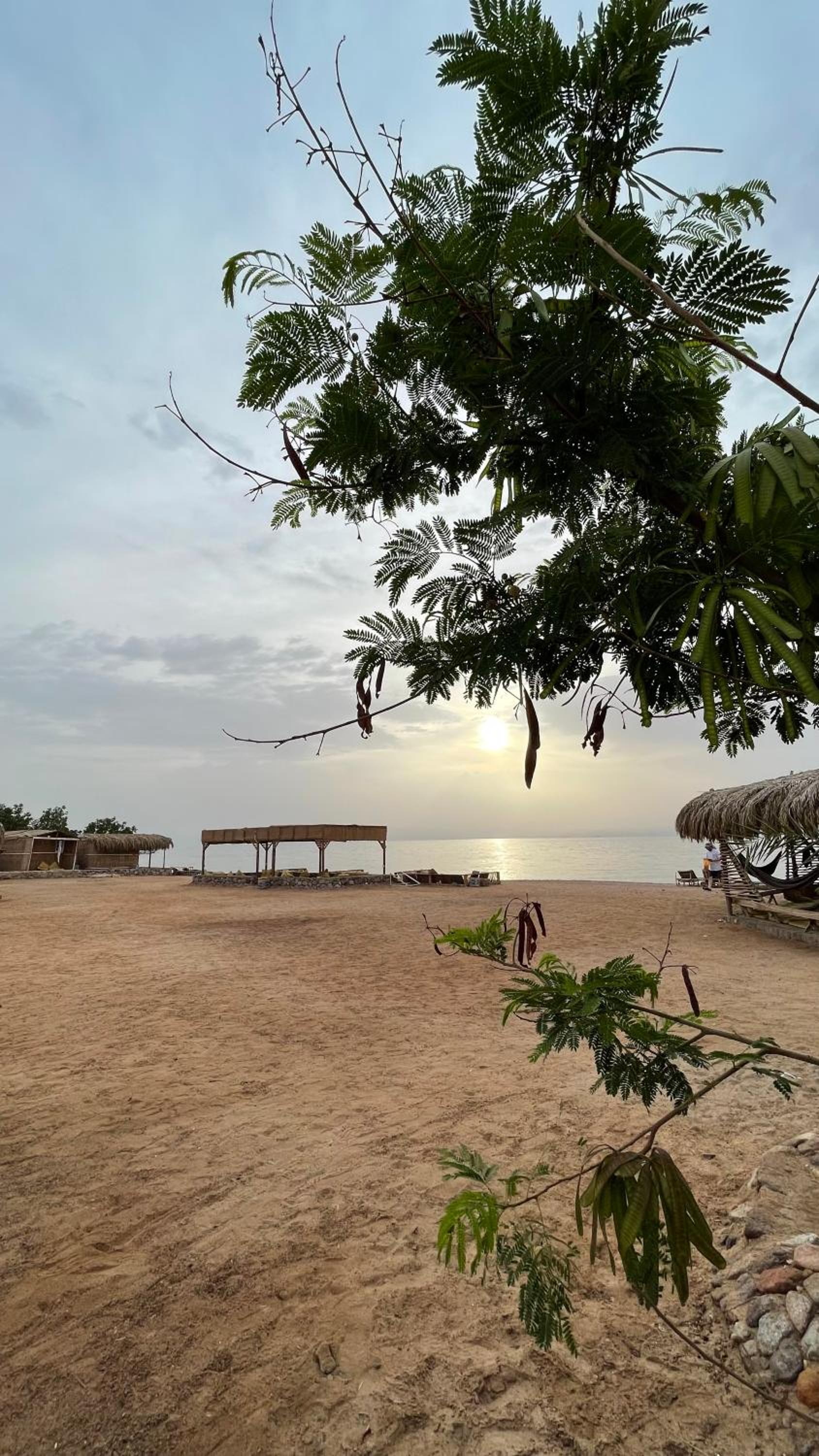 Alwaha Camp