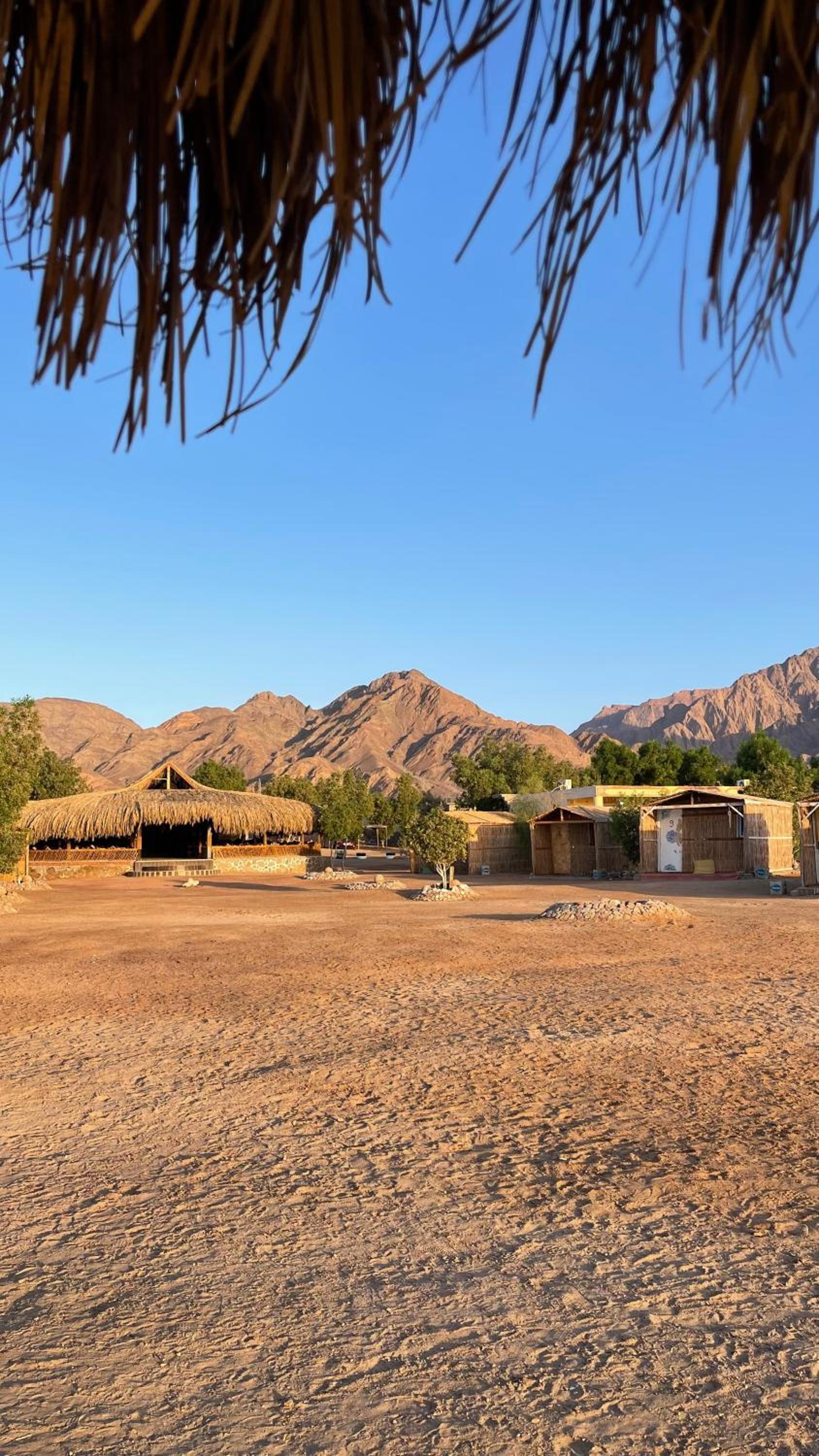 Alwaha Camp